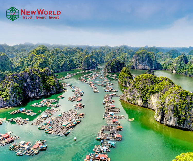 lan hạ 2 ngày 1 đêm