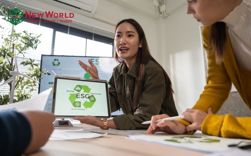 Tư vấn chiến lược đầu tư