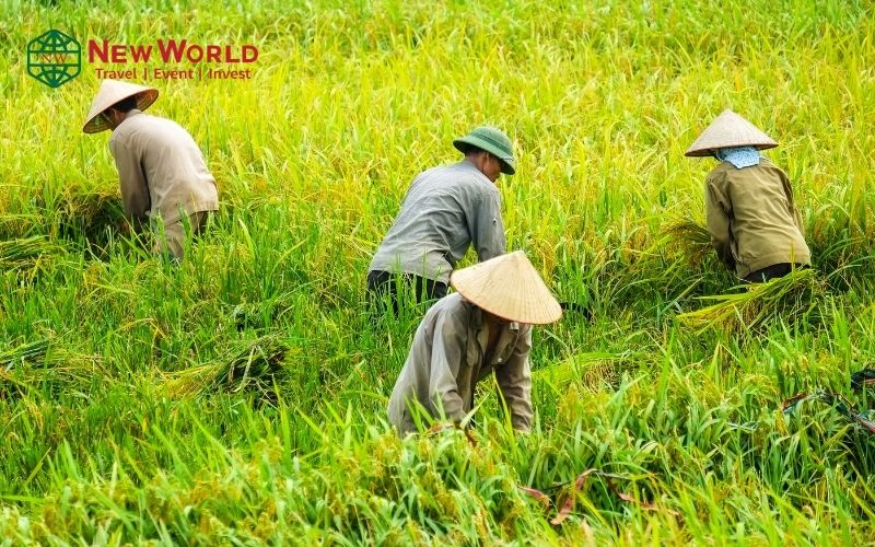 Nâng cao hình ảnh Việt Nam